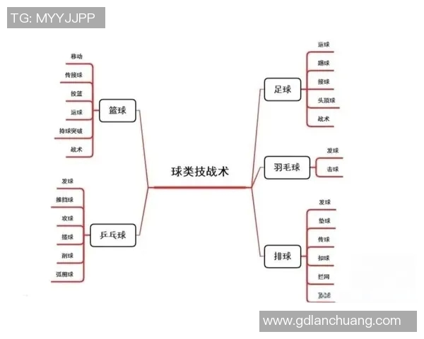 武汉篮球队速度对比深度解析与战术影响探讨