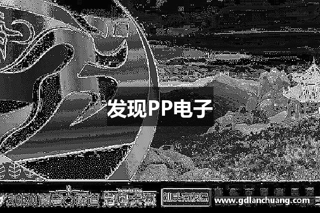 发现PP电子